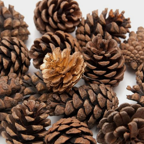 Wreath Bar Classic Pinecone