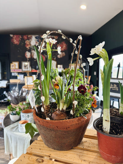 Spring Tabletop Garden Workshop at Axemann Brewery | 4/19/26 | Bellefonte, PA