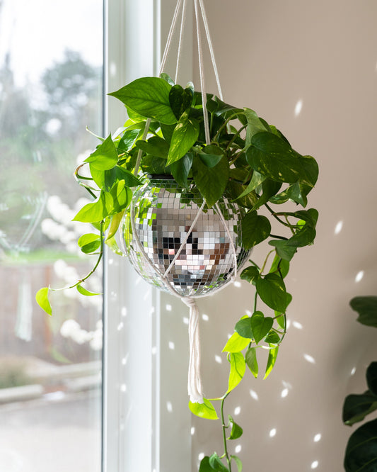 Hanging Disco Planter