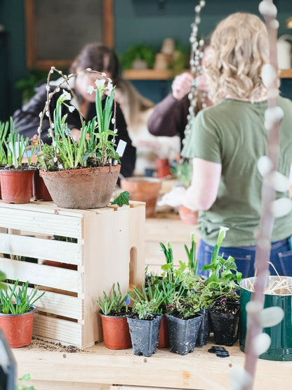 Spring Tabletop Garden Workshop at Axemann Brewery | 4/19/26 | Bellefonte, PA
