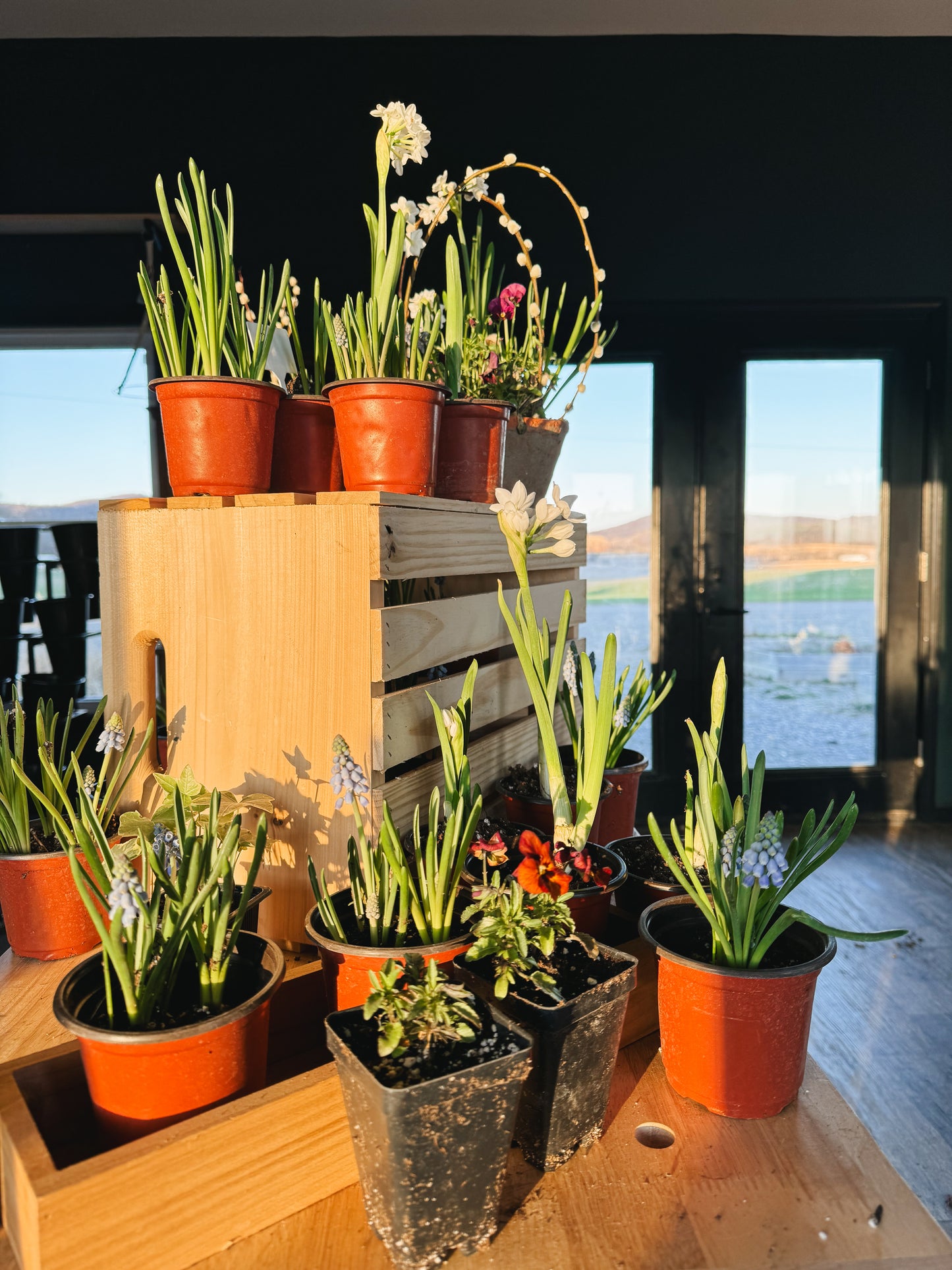 Spring Tabletop Garden Workshop at Axemann Brewery | 4/19/26 | Bellefonte, PA