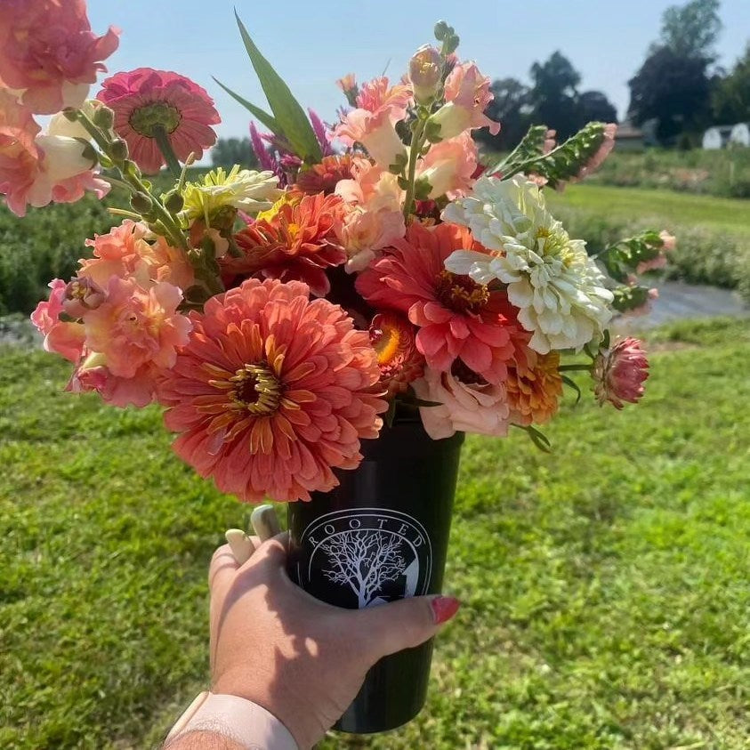 Black Cup Club pick-your-own flower membership at Pennsylvania flower farm with seasonal blooms
